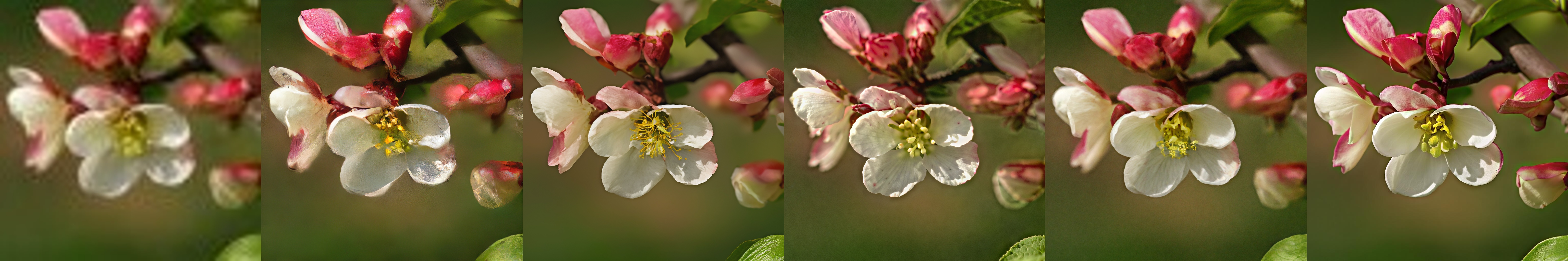 Comparison 082
