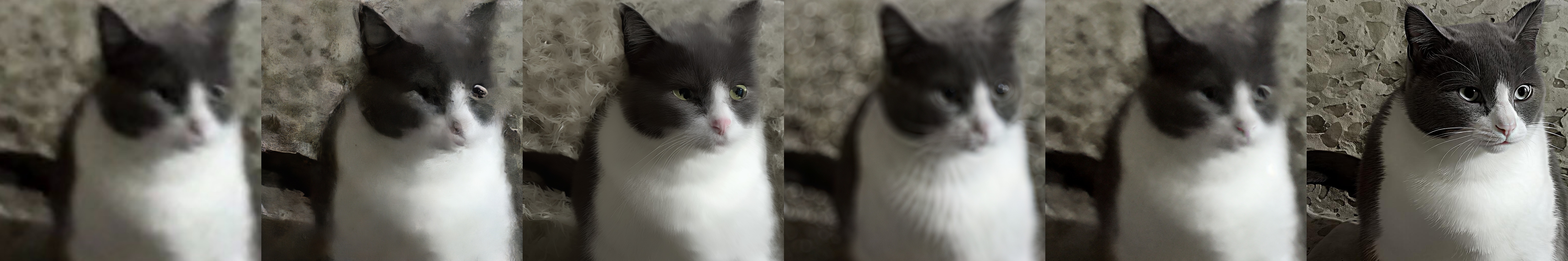 Comparison 137